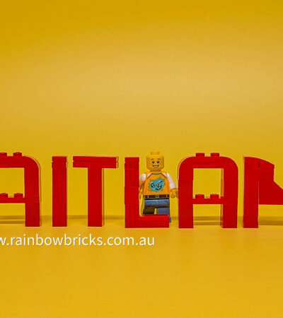 Maitland Brickfest A LEGO Fan Event