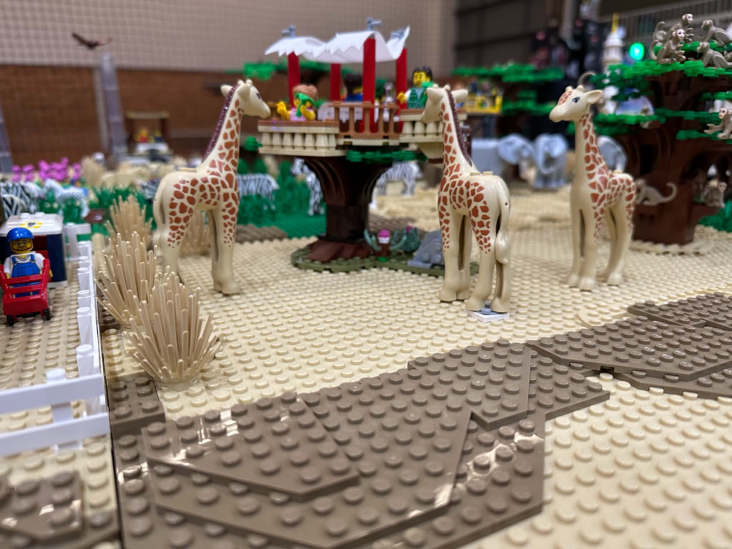 🦒 Something wild is taking shape! 🦓🧱
@RainbowBricksLUG member Jo from Armidale has been busy working on her Safari diorama for @NewcastleBrickfest.

Plenty is already happening, with giraffes, zebras, elephants, and other wildlife bringing the scene to life.

We love seeing our members' displays come together in the lead-up to Brickfest, and we're looking forward to seeing Jo's finished creation on display next weekend.

Keep an eye out for more Sneak Peeks from our talented Rainbow Bricks builders! 👀🧱

#RainbowBricks #NewcastleBrickfest #LEGOSafari #LEGOBuilders #SneakPeek