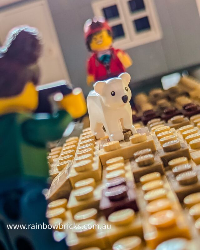 Happy World Photographer Day! 📸 Let's celebrate the art of capturing moments, big and small, one brick at a time. 🌎

Do you enter ‘challenges’ (through LUGs or social media)?
- Who on social media has regular challenges?

Join us on Tuesday Night LEGO: Talk and Sort this Tonight at 8 pm [AEST]. When @saynotolimegreen @bluebrickwren @oztwinmum and @rainbowbrickslug will discuss the subject, plus the week in LEGO. Tell us about your #LEGOWeek
Let's connect, chat, and celebrate our love of LEGO together!
Where: www.instagram.com/rainbowbrickslug

#RebuildtheWorld 🤩🌈

Follow @rainbowbrickslug for more @LEGO
@legocertified_anz content

#rainbowbricks #LEGO #LEGOminifigs
#LEGOminifigures #LEGOphoto #LEGOphotography #LEGOfan #toyphotography #LEGOinstagram #stuckinplastic
#LEGOstagram #brickcentral #LEGOgram #LEGOmania #afol #bricksinfocus #LEGOfans #afolcommunity #LEGOcommunity #LEGOTalkandSort #TuesdayNightLEGO #MOC #LEGOMOC #LEGOLiveStream #LEGOChat
#WorldPhotographerDay #BuildYourWorld #Photography